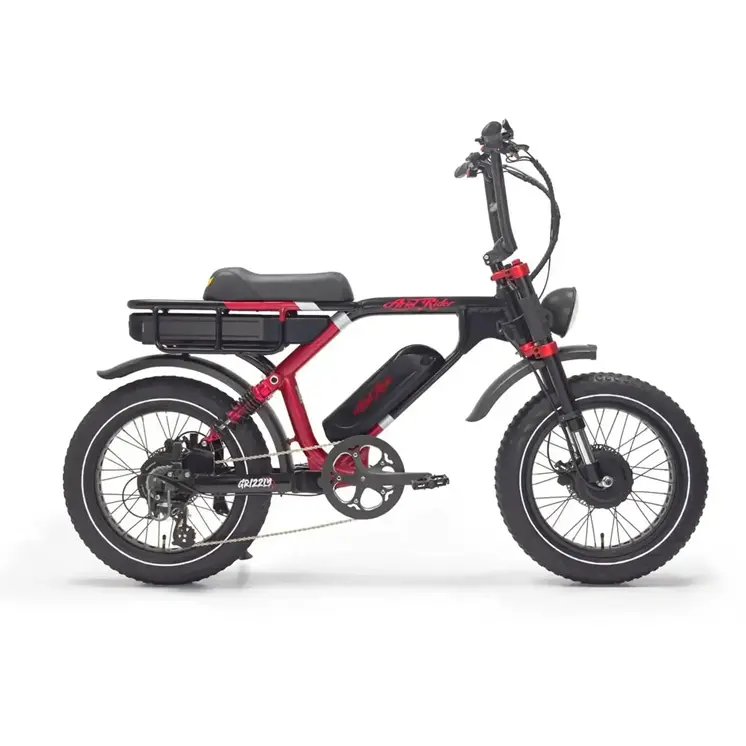 Ariel Rider Grizzly (dual-motor power
