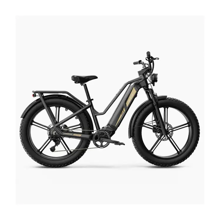 Engwe X20, X24, Fiido C21, Titan